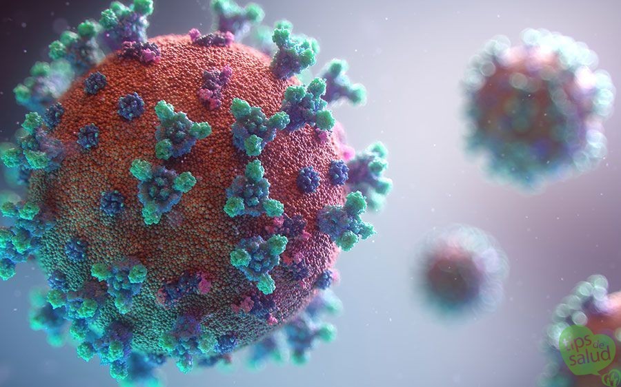coronavirus - Tips de Salud Coronavirus