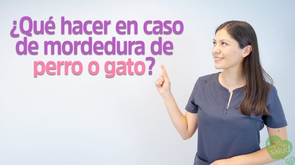 mordedura-de-perro-o-gato - Tips de Salud Modedura de Perro o Gato