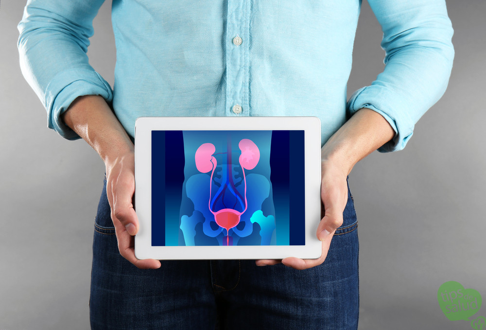 5 HÁBITOS QUE CUIDAN TU PRÓSTATA - Tips de Salud 5 HÁBITOS QUE CUIDAN TU PRÓSTATA