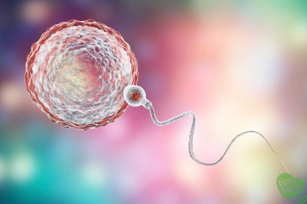 inseminación artificial